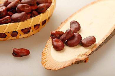 化身鲁滨孙流落荒岛，《求生岛》1.0版推出Steam特别好评